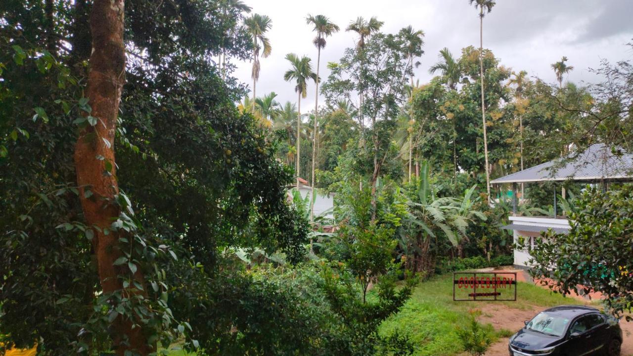 Gooseberry Family Retreats - Wayanad By Karapuzha Resorts Meenangadi Exterior foto